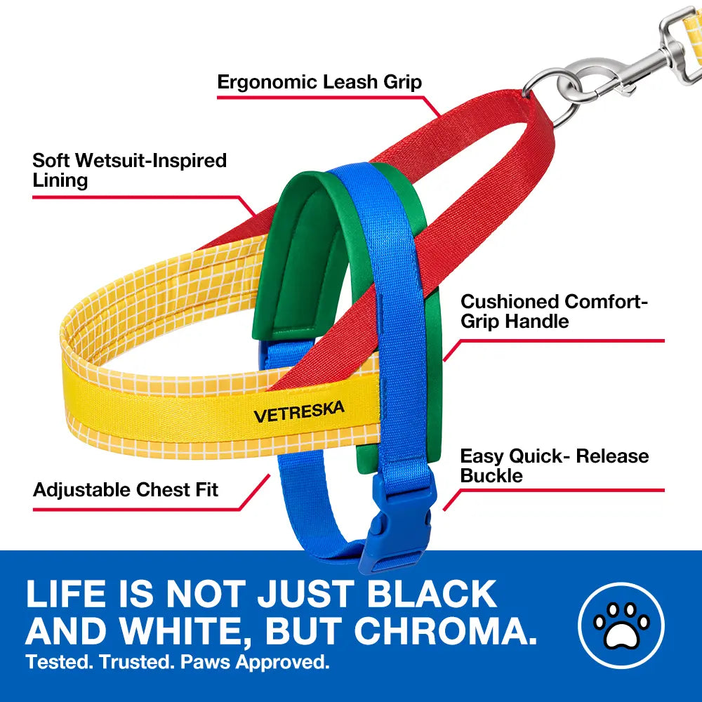 VETRESKA Moma Chroma 3 in 1 Walk Kit, Durable & Lightweight No Pull & No Choking Dog Harness with Easy-On Adjustable Fit, Anti-Twist Pet Lead Combo for Small-Medium Dogs (Collars & Harnesses & Leads)