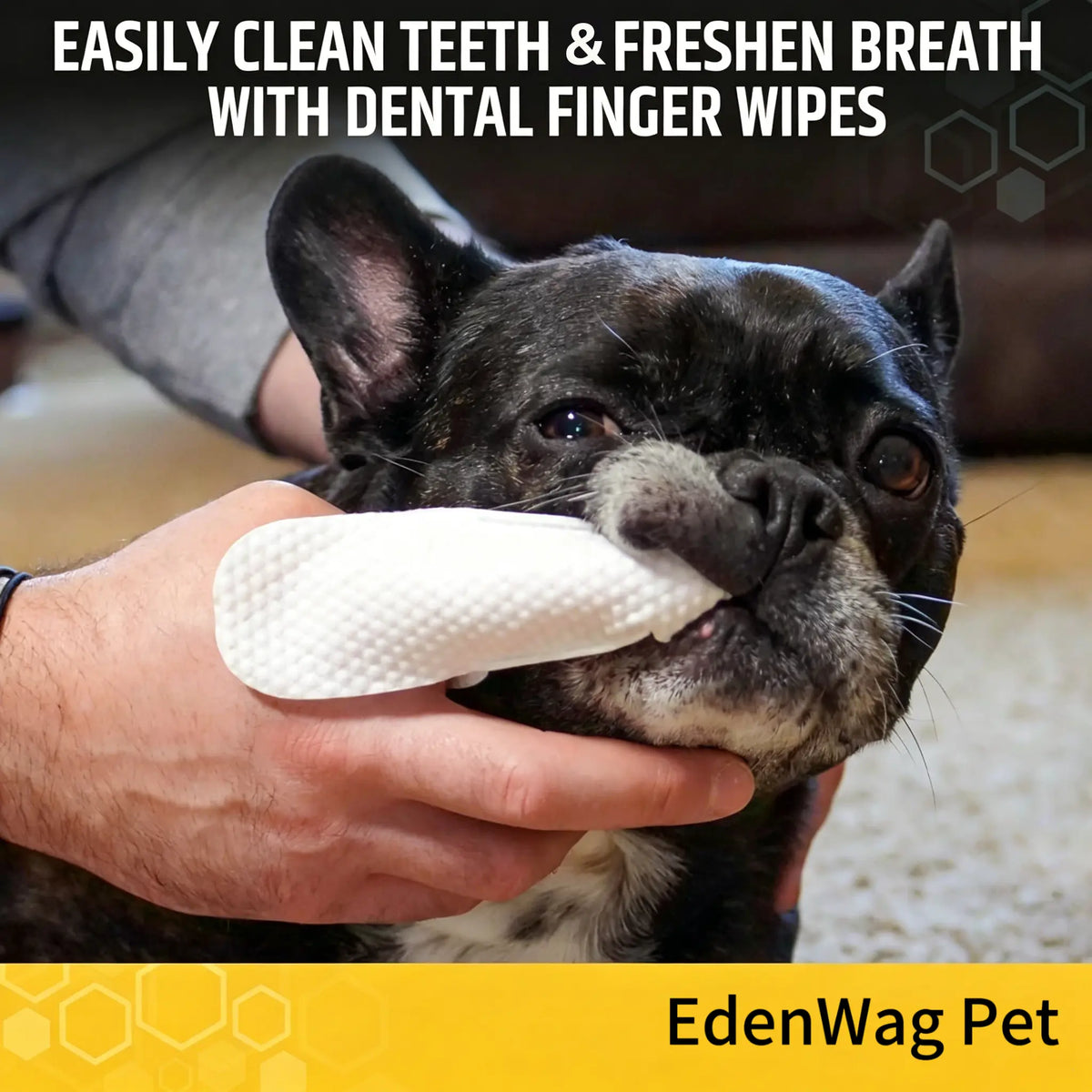 Edenwag Veterinary-Recommended Pet Dental Wipes for Dogs and Cats – Freshens Breath, Reduces Plaque and Tartar, Promotes Healthy Gums, Alternative to Traditional Toothbrushes and Toothpaste