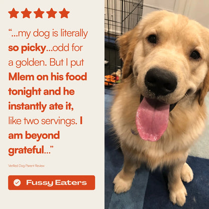 Mlem - Beef Topper Spray for Dogs, Pet Food Topper for Canine Nutrition Enhancement