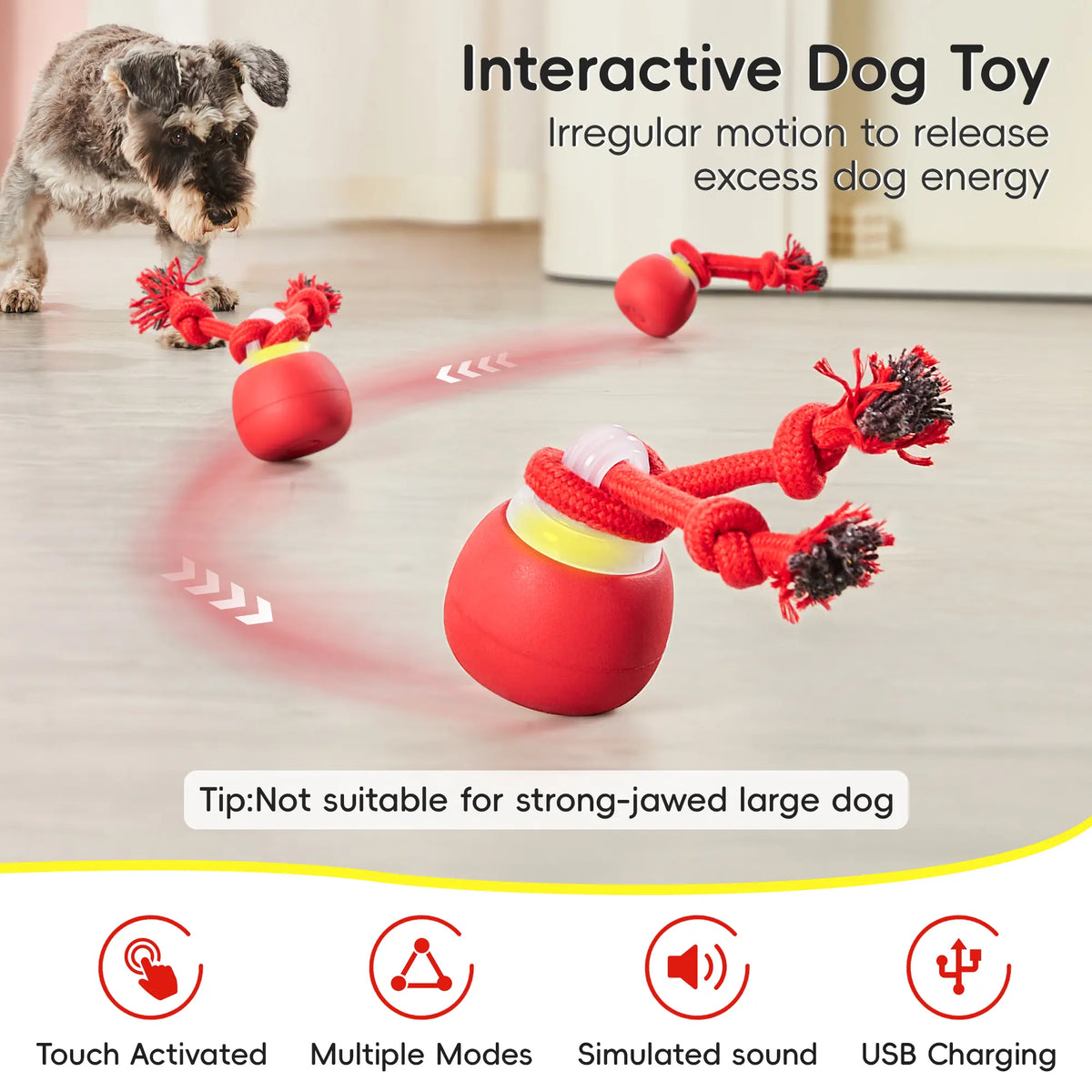 Potaroma Interactive Dog Toy - Automatic Rolling Squeaky Ball with Touch Activation, Rechargeable Dynamic Motion, Durable Rope for Small to Medium Puppies, Engaging Red Chasing Game