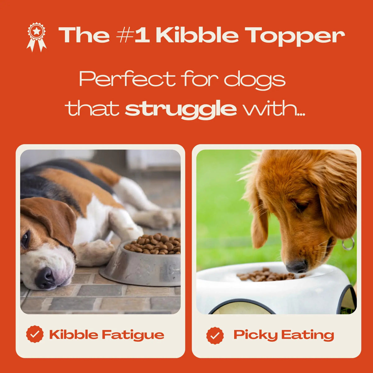 Mlem - Beef Topper Spray for Dogs, Pet Food Topper for Canine Nutrition Enhancement